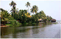 vembanad lake vembanad lake